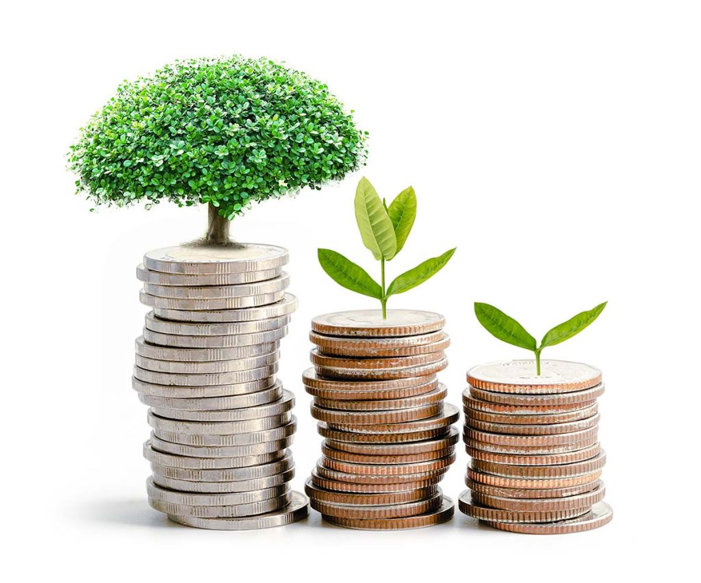 tree plumule leaf on save money coins business